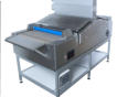 Specialist UV conveyor - Jenton